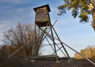 Vahşi yaşam gözlem noktası. Güney Bohemya, Çek Cumhuriyeti