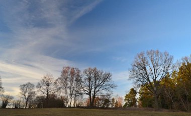 Sonbahar manzarası, güney Bohemya, Çek Cumhuriyeti