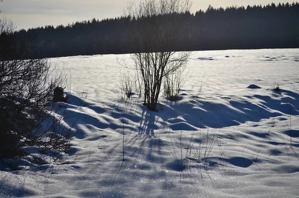 Zobacz Zima Krajobraz Południowe Republika Czeska — Zdjęcie stockowe