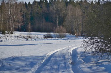 kış manzara, South Bohemia, Çek Cumhuriyeti görüntülemek