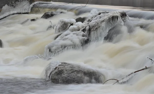 Água Que Flui Rapidamente Boémia Sul República Checa — Fotografia de Stock