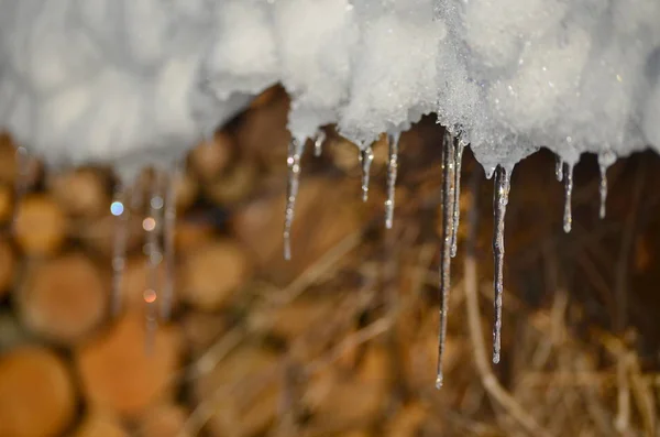 Rampouchy Tajícího Sněhu Jižní Čechy Česká Republika — Stock fotografie