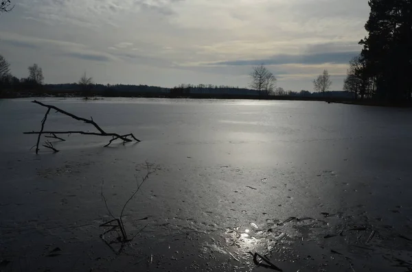 Estanques Invierno Campo Bohemia Del Sur República Checa —  Fotos de Stock