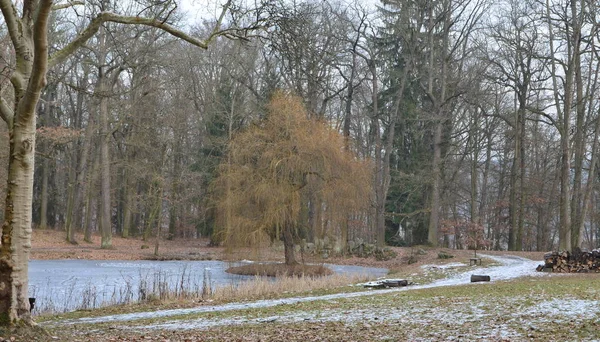 Görünüm kış manzara, South Bohemia, Çek Cumhuriyeti