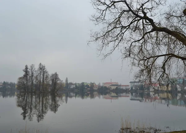 Vista de la isla en el estanque de Vajgar, ciudad de Jindrichuv Hradec, s — Foto de Stock