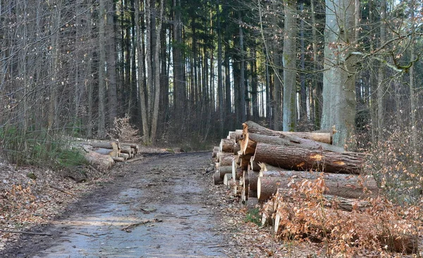 timber ready for transport, South Bohemia