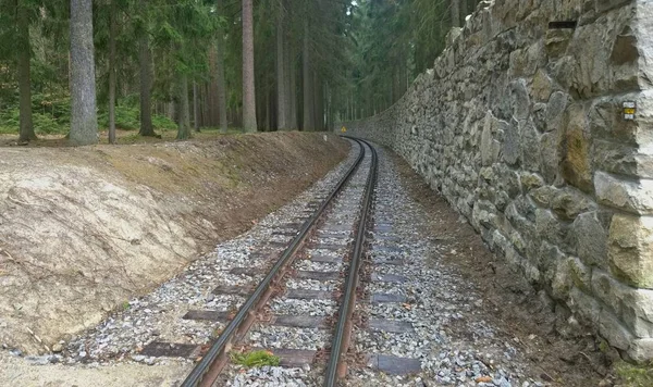 Único caminho de ferro histórico de bitola estreita — Fotografia de Stock