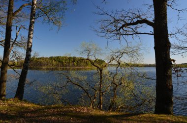 kırsal göletler, Güney Bohemya Kaclezsky Gölet