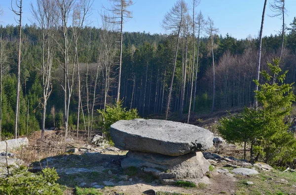 Přirozená zvědavost, kamenný stůl, Jižní Čechy — Stock fotografie