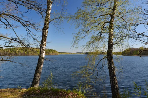 시골의 연못, 사우스 보헤미아의 카클레츠스키 연못 — 스톡 사진