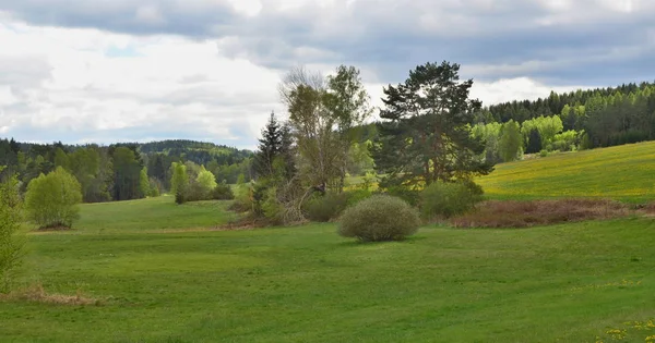 Blick Frühlingslandschaft, Südböhmen, Tschechische Republik — Stockfoto