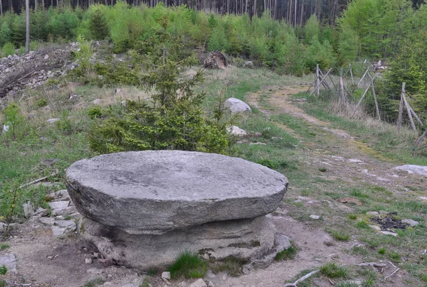 Curiosidad natural, una mesa de piedra, Bohemia del Sur — Foto de Stock