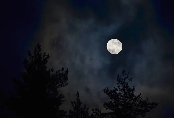 Bulan purnama di atas hutan, Bohemia Selatan Stok Foto Bebas Royalti