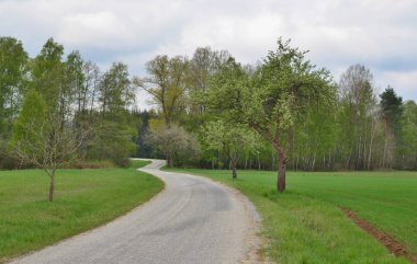 Bahar manzara, southern Bohemia, Çek Cumhuriyeti görüntülemek