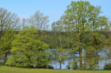 Bahar manzara, southern Bohemia, Çek Cumhuriyeti görüntülemek