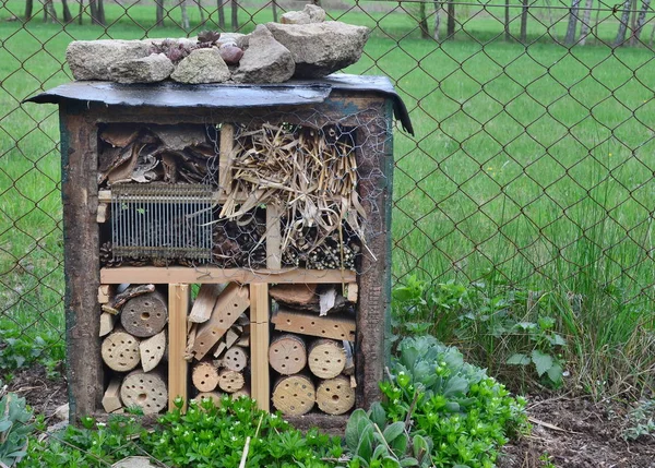 Casa de insectos jardín de madera, Bohemia del Sur — Foto de Stock