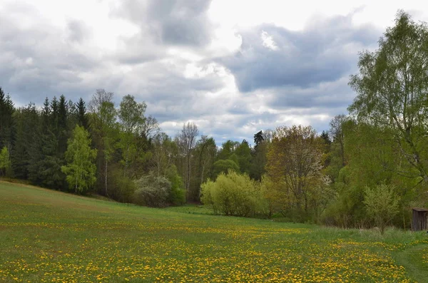 Blick Frühlingslandschaft, Südböhmen, Tschechische Republik — Stockfoto