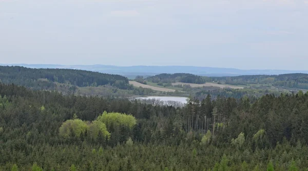 Blick Frühlingslandschaft, Südböhmen, Tschechische Republik — Stockfoto