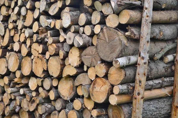 Vista de madera de almacenamiento tradicional, sur de Bohemia — Foto de Stock