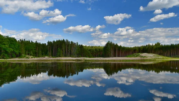 捷克共和国南波西米亚农村的池塘 — 图库照片