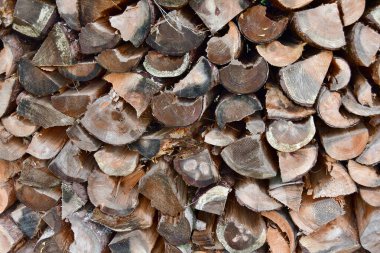 Geleneksel depolama kerestesi manzarası, Güney Bohemya, Çek Cumhuriyeti