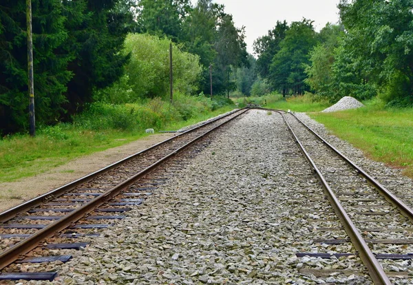 Único Ferrocarril Histórico Vía Estrecha Bohemia Del Sur —  Fotos de Stock