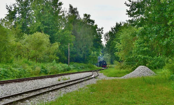 Único Ferrocarril Histórico Vía Estrecha Bohemia Del Sur — Foto de Stock