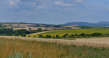 Güney Moravya 'da yaz manzarası. Çek Cumhuriyeti