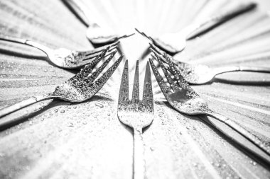 İzole - çatal siyah ve beyaz dizi