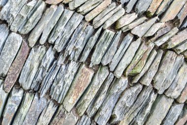 Damalı arka planlar - beyaz ve mor