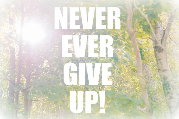 Never Ever Give Motivational Quote Sunny Forest Background Green Optimistic — Stock Photo, Image