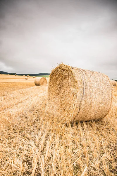 Large Straw Bale Field Scotland — Stock Photo, Image