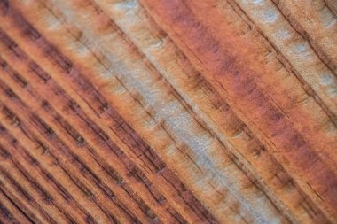 Renkli lekeli ahşap