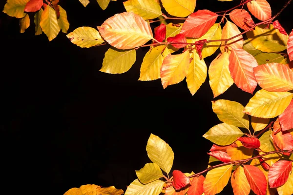 Feuilles d'automne - fond panoramique de feuilles jaunes tombant en — Photo