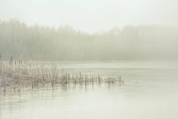 Floresta lago coberto com densa névoa matinal — Fotografia de Stock