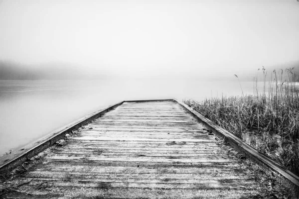 Lago nebbioso in mezzo alla foresta e vecchio ponte di legno — Foto Stock