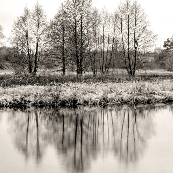 Árboles reflejados en el agua - paisaje fluyendo río en negro y w —  Fotos de Stock