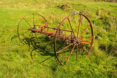Paslı at pulluk çizilmiş