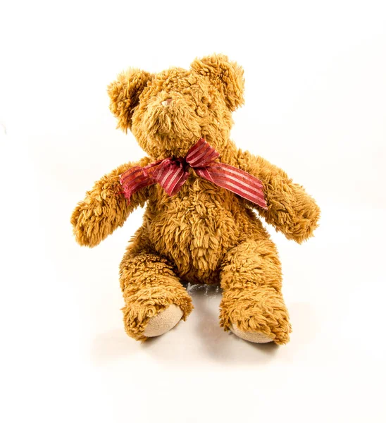Nice and cute teddy bear — Stock Photo, Image