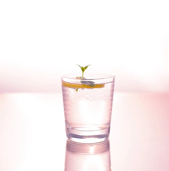 Glass of water with slice of lemon and mint - refreshing beverag — Stock Photo, Image
