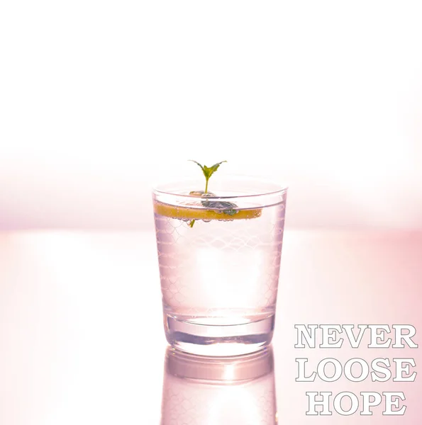 Never give up and never loose hope — Stock Photo, Image