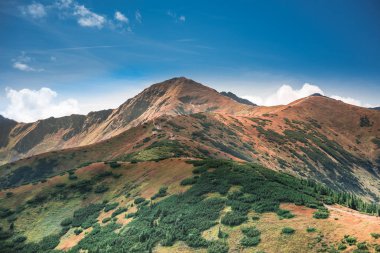 Dağlarda Yol - Tatra Dağları Aralığı