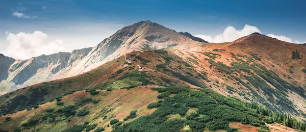 Panorama van Tatra gebergte met zichtbaar pad naar Wolowie — Stockfoto