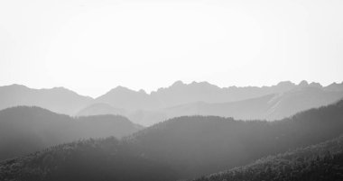 Sisli dağlar - ladin kaplı tepeleri ve ro 'yu kaplayan kalın sis