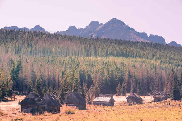 Traditional wooden huts in a valley surrounded by spruce forest