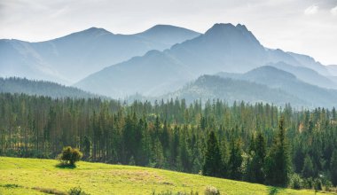 Misty Tatra Dağları - Murzasichle köyünden manzara