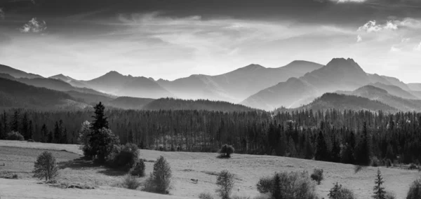 검은 색 과 흰색으로 된 산등성 이 의 파노라마 — 스톡 사진