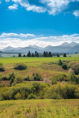Yüksek Tatra sıradağları alp ağaçları ormanlarıyla, alp m