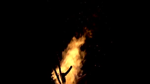 Медленно вспыхивает пламя огня из огня ночью — стоковое видео