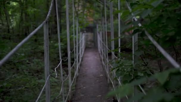 Passagem sobre a ponte no meio da floresta. Visão em primeira pessoa — Vídeo de Stock